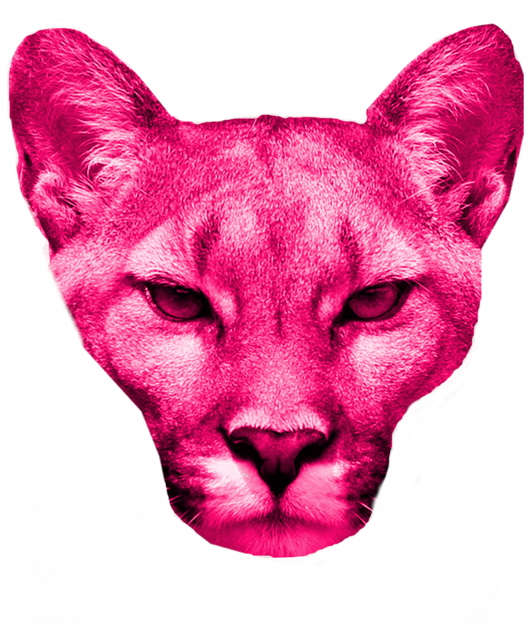 gallery/pörröinenelämä2